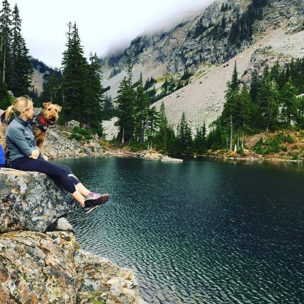 Meet your Posher, Taylor